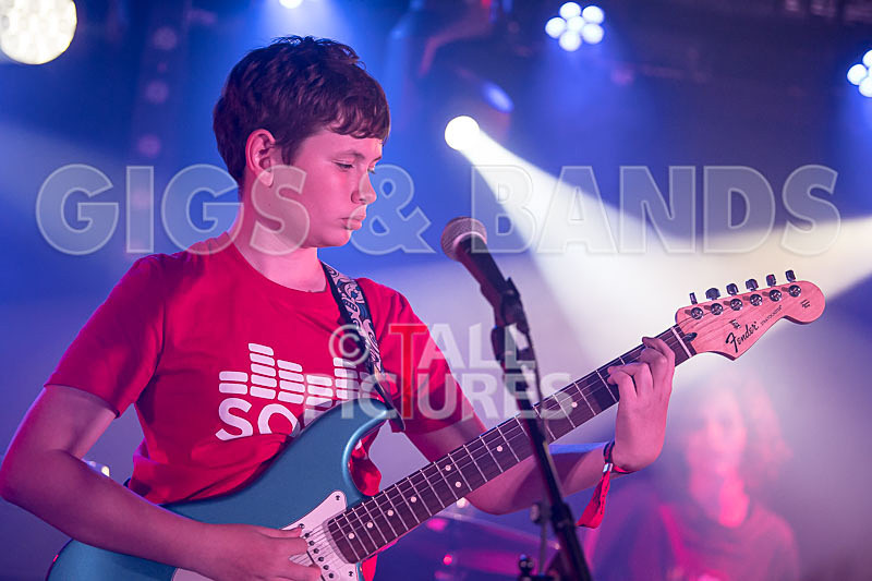 Purple Paradox-4 - PURPLE PARADOX