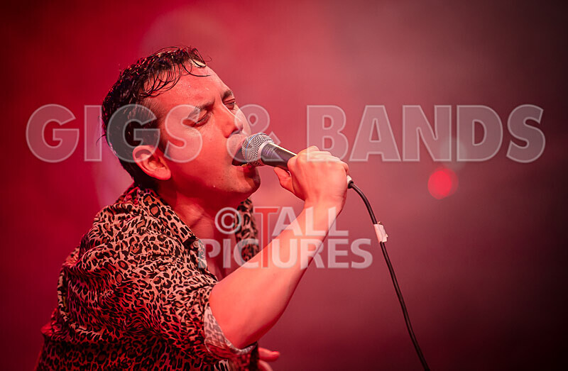Pigsx7-34 - PIGS PIGS PIGS PIGS PIGS PIGS PIGS