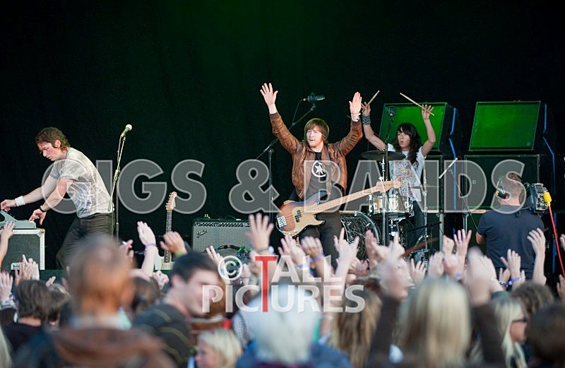 The Whip-4 - THE WHIP