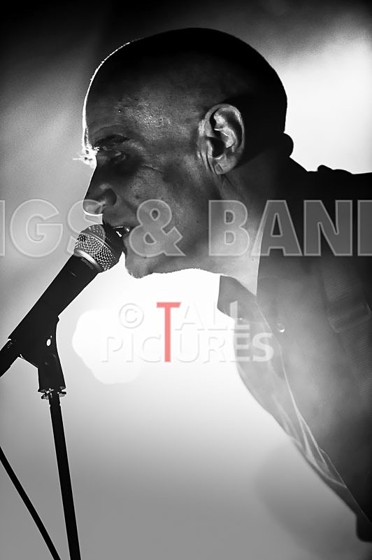 The Wilko Johnson Band-21 - THE WILKO JOHNSON BAND