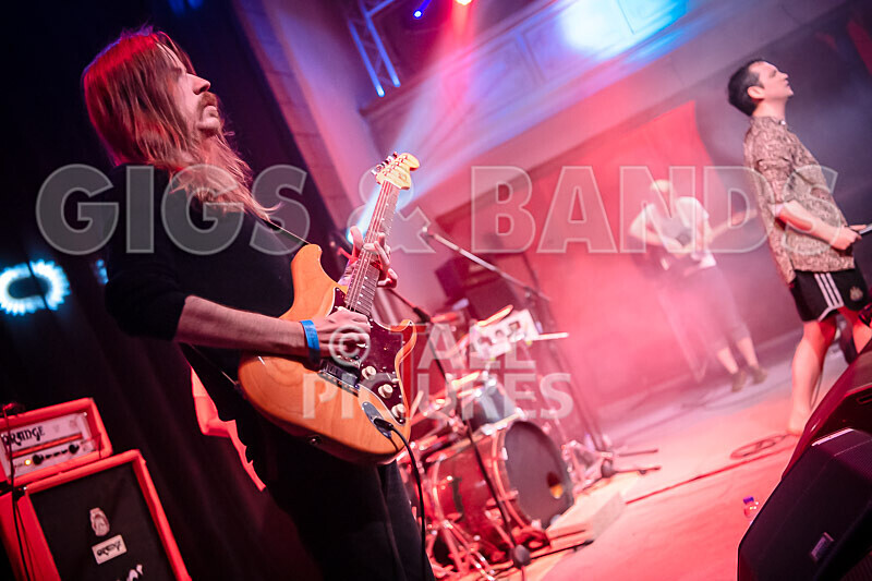 Pigsx7-36 - PIGS PIGS PIGS PIGS PIGS PIGS PIGS