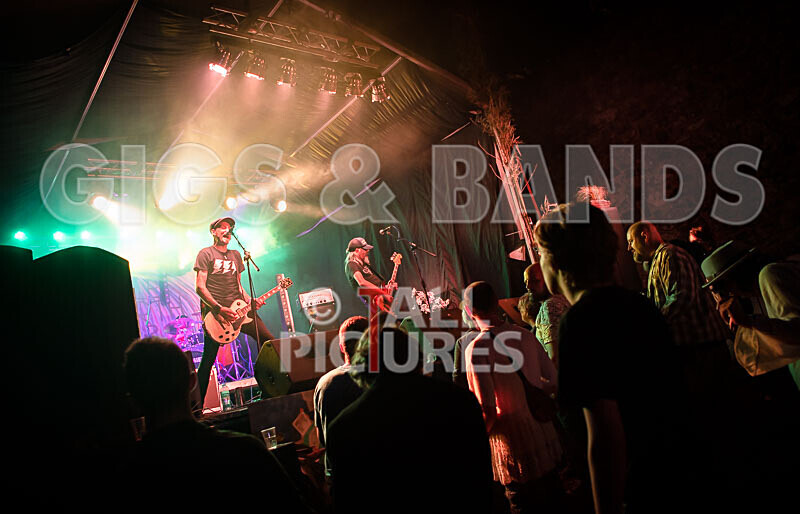 The Electric Shakes-210 - THE ELECTRIC SHAKES