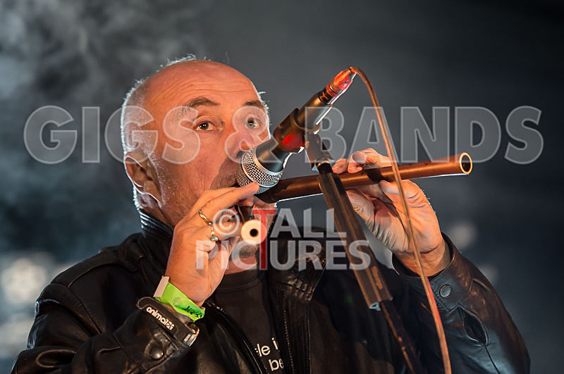 Attila the Stock Broker-56 - ATTILA THE STOKEBROKER'S BARNSTORMERS