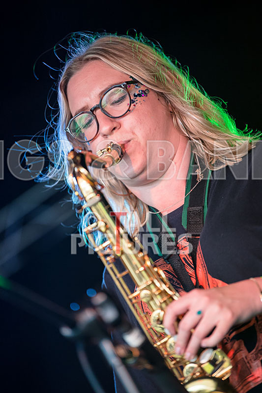 Lizzard Channel-37 - LIZZARD CHANNEL