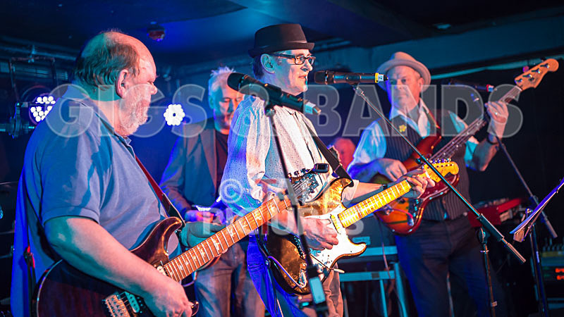Alfie Bartons 25th Anniversary Gig-108 - ALFIE BARTON'S 25th ANNIVERSARY SPECIAL