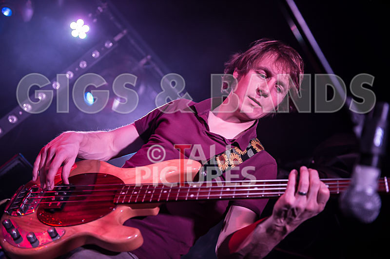 Buffallo Huddleston-144 - BUFFALO HUDDLESTON