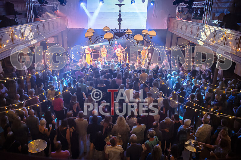 Buffalo Huddleston-561 - BUFFALO HUDDLESTON