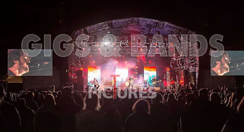 The Vaccines-23 - THE VACCINES