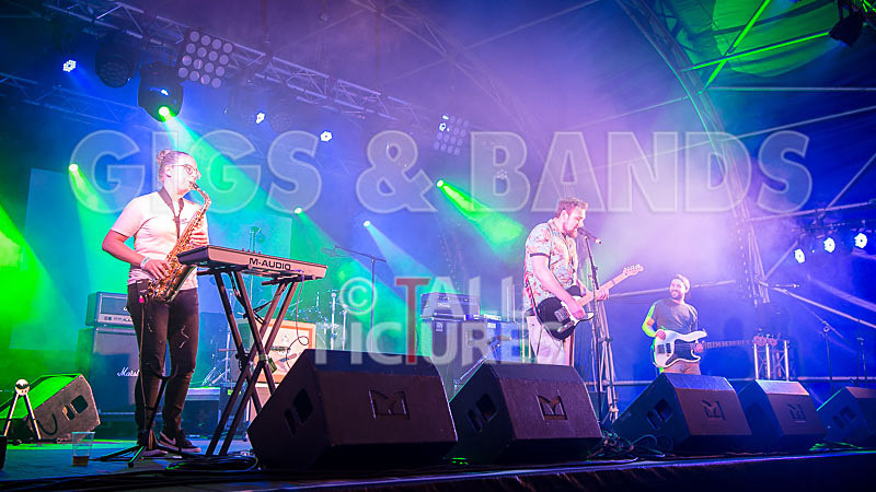 Honest Crooks-156 - HONEST CROOKS