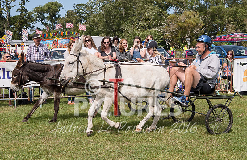 Donkey Derby_2016-18 - LIONS CLUB DONKEY DERBY 2016