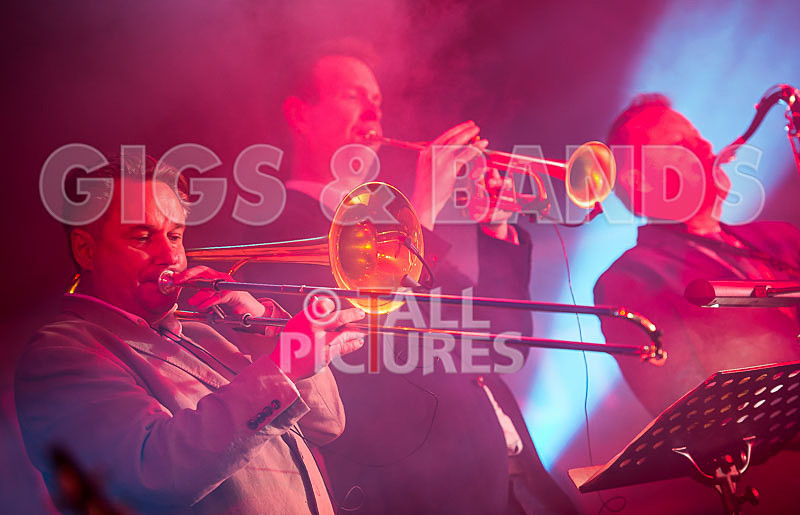 King Rat and the Soul Cats-213 - KING RAT AND THE SOUL CATS