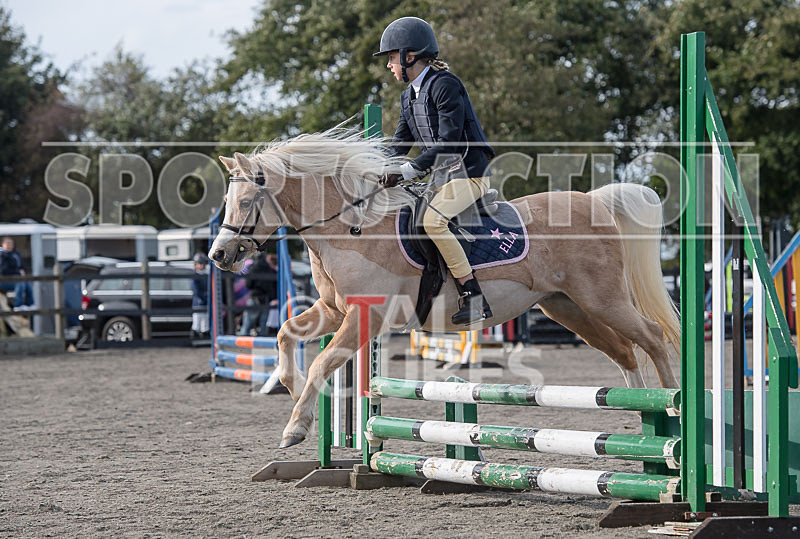 North Showjumping_2016-5 - NORTH SHOW SHOWJUMPING 2016