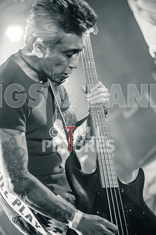 Morllyheads-7 - MORLLYHEADS