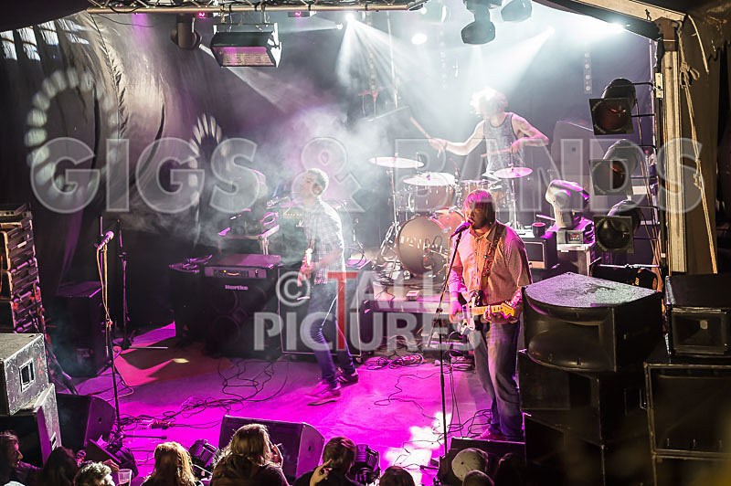 To the Woods-184 - TO THE WOODS