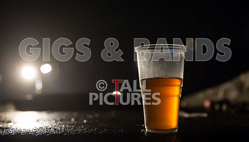 Vale Earth Fair 2015_Atmosphere-77 - VALE EARTH FAIR 2015_THE ATMOSPHERE