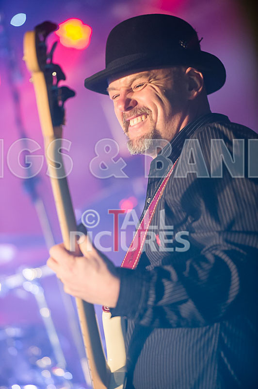 Peppered Ant Legs-173 - PEPPERED ANT LEGS