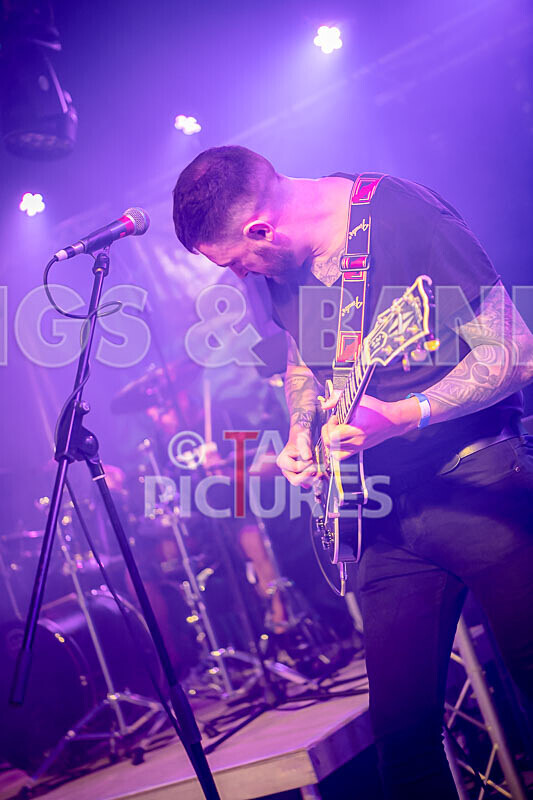 Foxy Stoat Seeks Pig-6 - FOXY STOAT SEEKS PIG