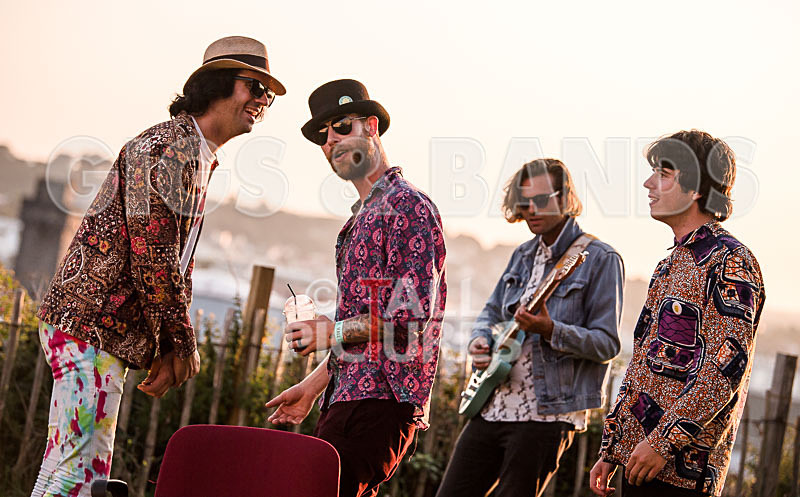 Surfin Birds-34 - SURFIN' BIRDS