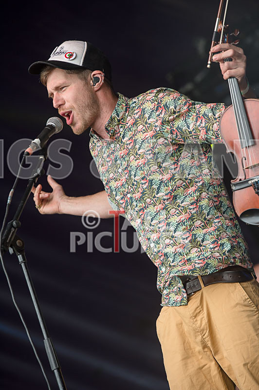 Molotov Jukebox-39 - MOLOTOV JUKEBOX