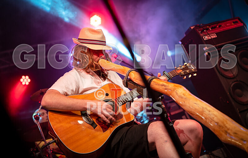 Buffalo Huddleston-643 - BUFFALO HUDDLESTON