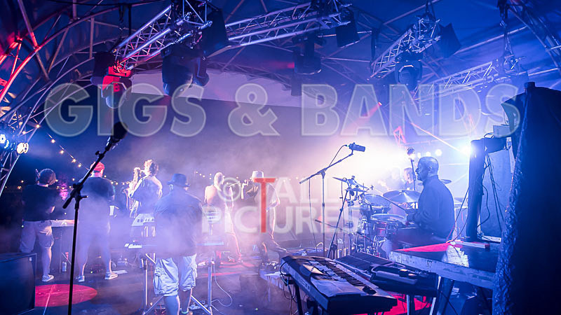 Sons of the Desert-337 - SONS OF THE DESERT