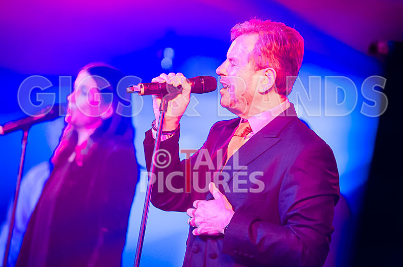 King Rat the Soul Cats-352 - KING RAT AND THE SOUL CATS