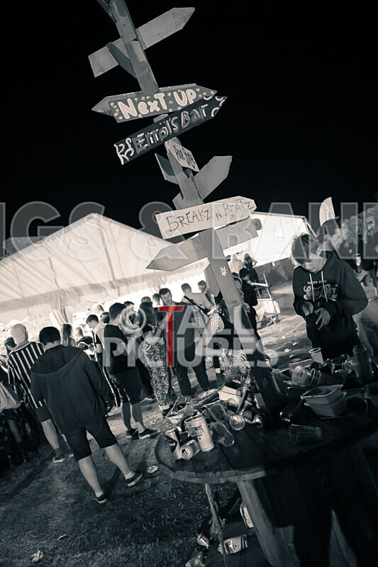 VEF 2021_The Scene-38 - VALE EARTH FAIR 2021_THE SCENE