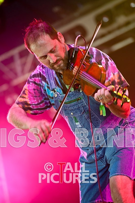 Hayseed Dixie-25 - HAYSEED DIXIE