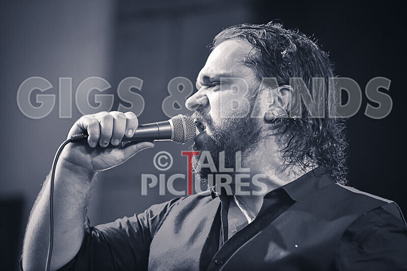 Michael Sullivan-3 - THE GUESTS