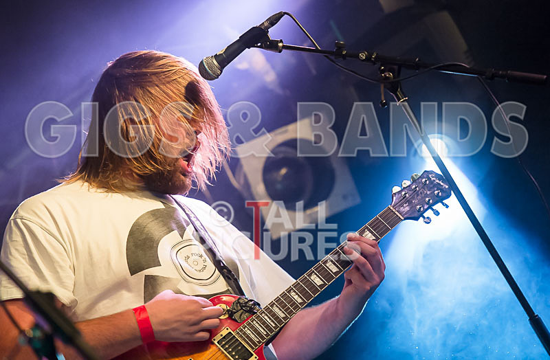 To the Woods-254 - TO THE WOODS