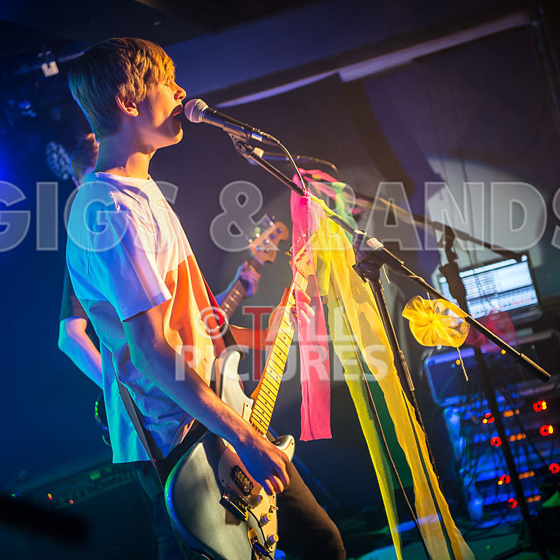 Cosmic Fish-3 - COSMIC FISH