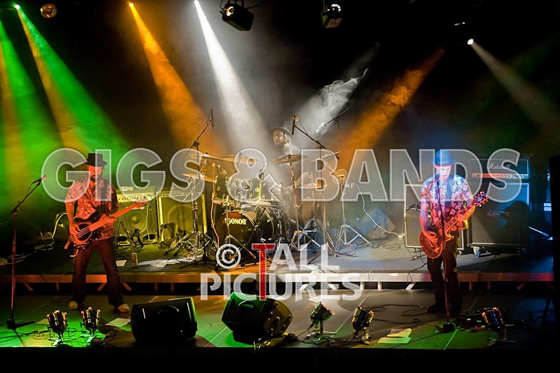 Peppered Ant Legs-43 - PEPPERED ANT LEGS at RoA-3