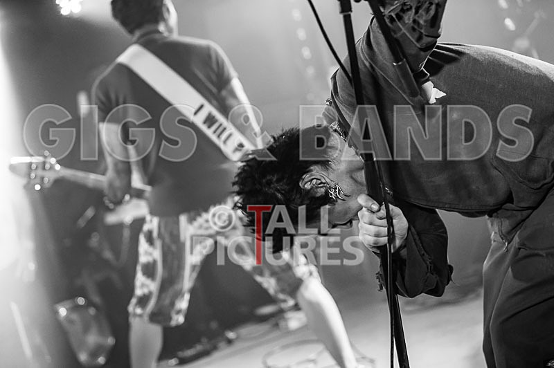 Morllyheads-39 - MORLLYHEADS