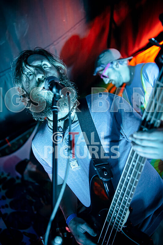 Honest Crooks-251 - HONEST CROOKS