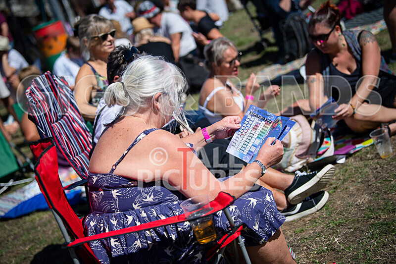 Vale Earth Fair 2020_THE SCENE-38 - VALE EARTH FAIR 2020_THE SCENE