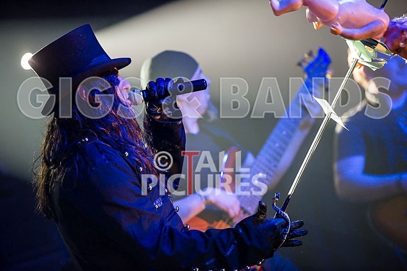 Gallus Cooper-6 - GALLUS COOPER