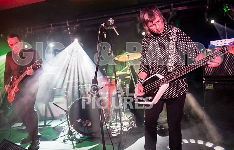 The Risk-247 - THE RISK