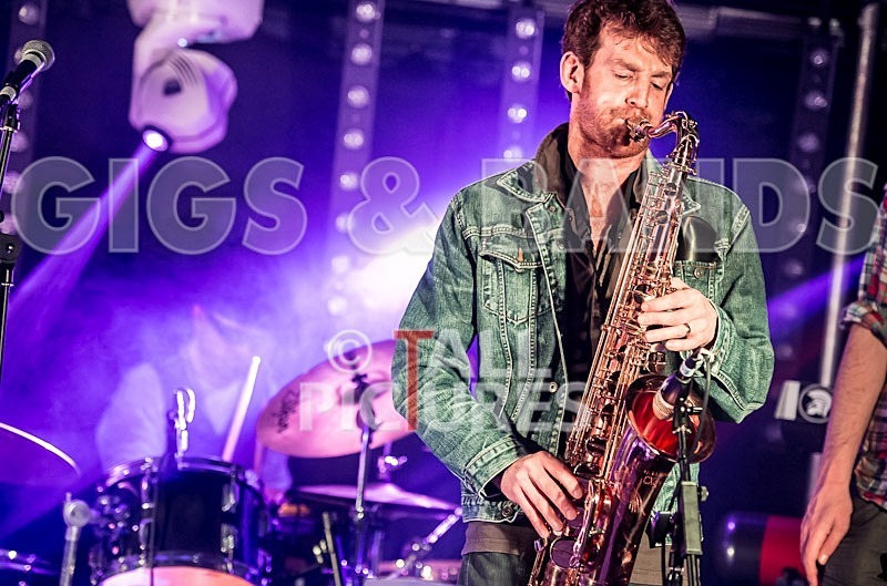 Sons of the Desert-108 - SONS OF THE DESERT