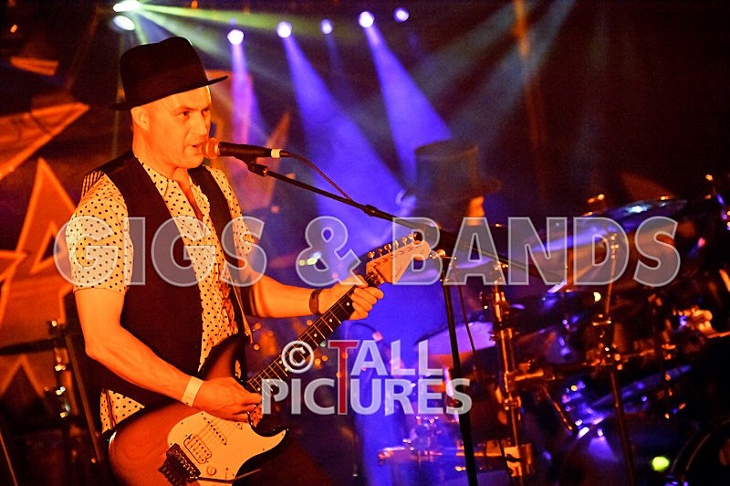 Peppered Ant Legs-140 - PEPPERED ANT LEGS