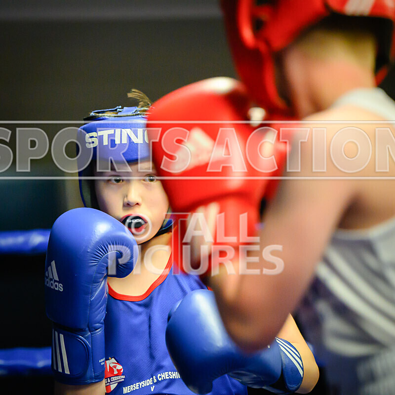 BOUT- 3 - Kody Domaille v Nico Summers-23 - BOUT 3 - Kody Domaille v Nico Summers