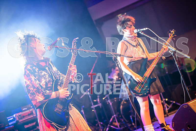 track not found-523 - track not found