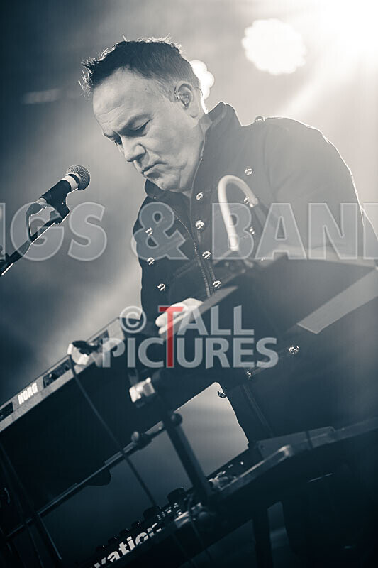 Fade2Grey-445 - FADE2GREY