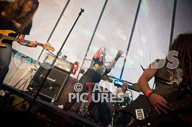 Greenman_Music-320 - GREENMAN CHAOS FESTIVAL 2008 BANDS