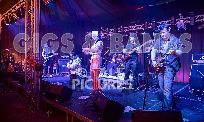 Gallus Cooper-40 - GALLUS COOPER