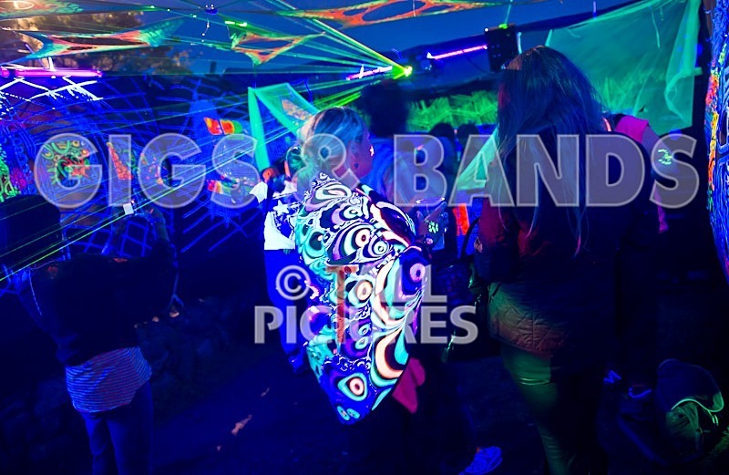 Vale Earth Fair 2011-9 - VALE EARTH FAIR 2011 - SCENE