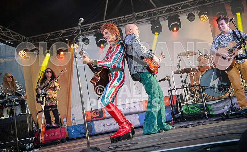 The Bowie Experience-76 - THE BOWIE EXPERIENCE