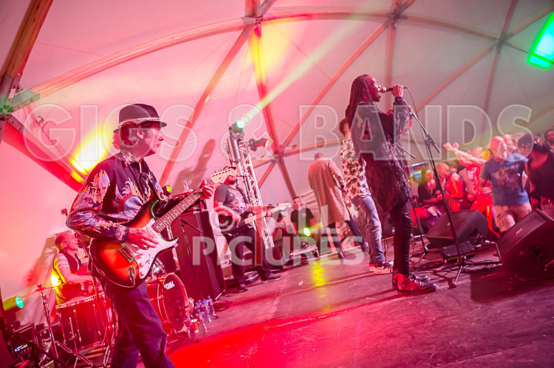 The Beat-58 - THE BEAT