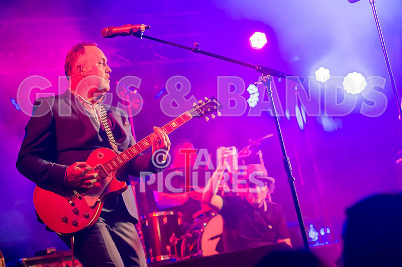 Sons of the Desert-267 - SONS OF THE DESERT