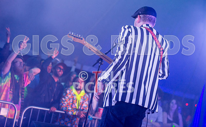 The Smooth Hounds-29 - THE SMOOTH HOUNDS