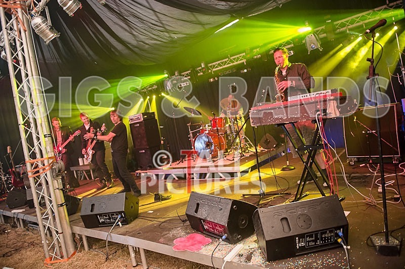 Thee Jenerators-315 - THEE JENERATORS